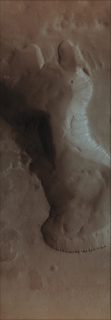 Possible Collapse Feature with Dunefield in Noachis Terra